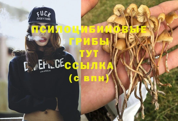 кристаллы Алзамай