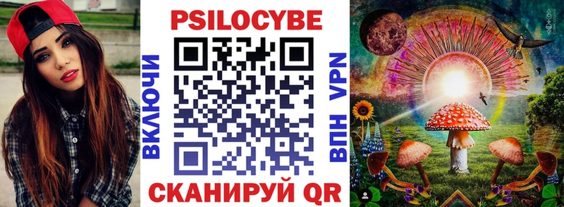 Купить где Шелехов Псилоцибиновые грибы Psilocybe
